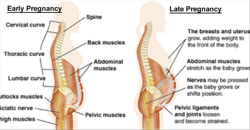 Abdominal Pain During Pregnancy Ease Pain In Abdominal Area