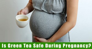 Green Tea During Pregnancy