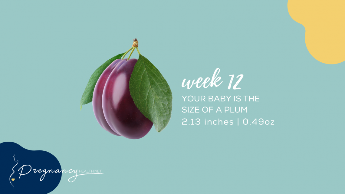 baby-size-at-16-weeks-pregnancy-health